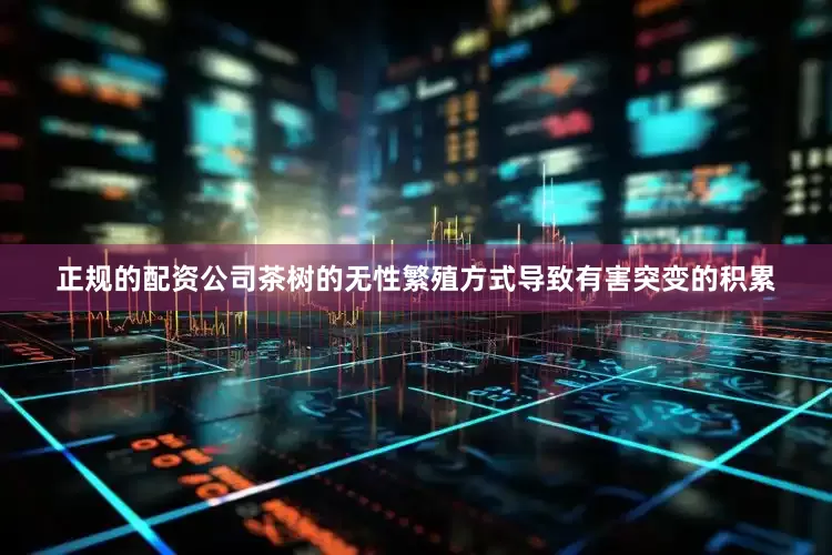 正规的配资公司茶树的无性繁殖方式导致有害突变的积累