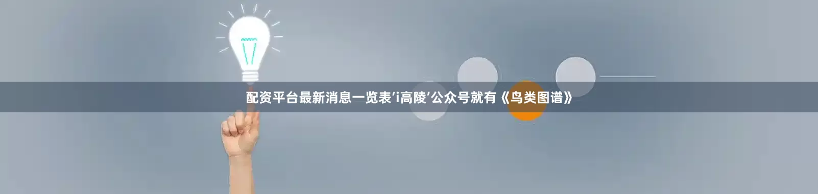 配资平台最新消息一览表‘i高陵’公众号就有《鸟类图谱》