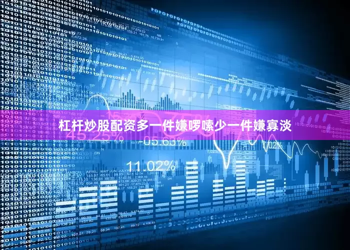 杠杆炒股配资多一件嫌啰嗦少一件嫌寡淡