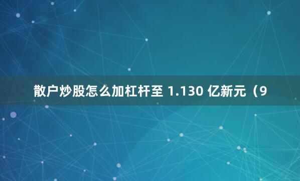 散户炒股怎么加杠杆至 1.130 亿新元（9