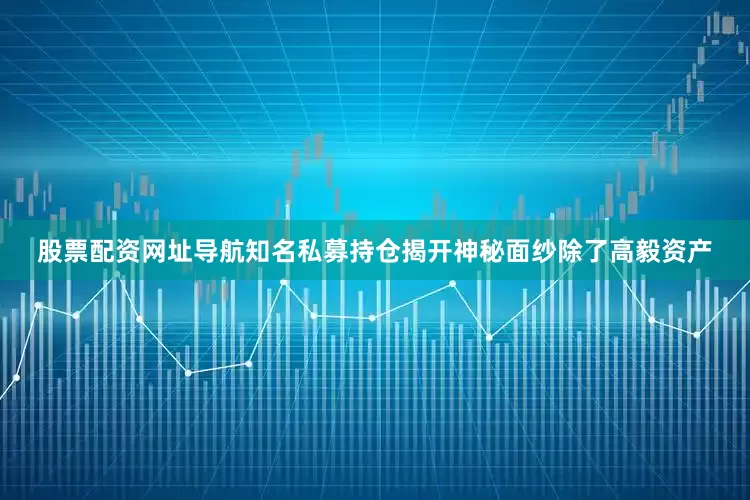股票配资网址导航知名私募持仓揭开神秘面纱除了高毅资产